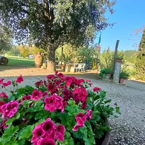 Azienda Agricola Polveraia Alloggio per agriturismo San Gimignano