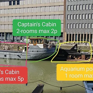 De Coaster & Aquarium Ponton Netherlands